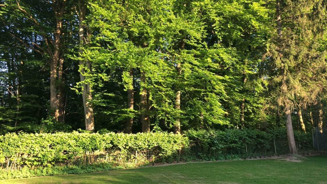 Ferienhaus Baek-Ratzeburg Bak Eksteriør billede